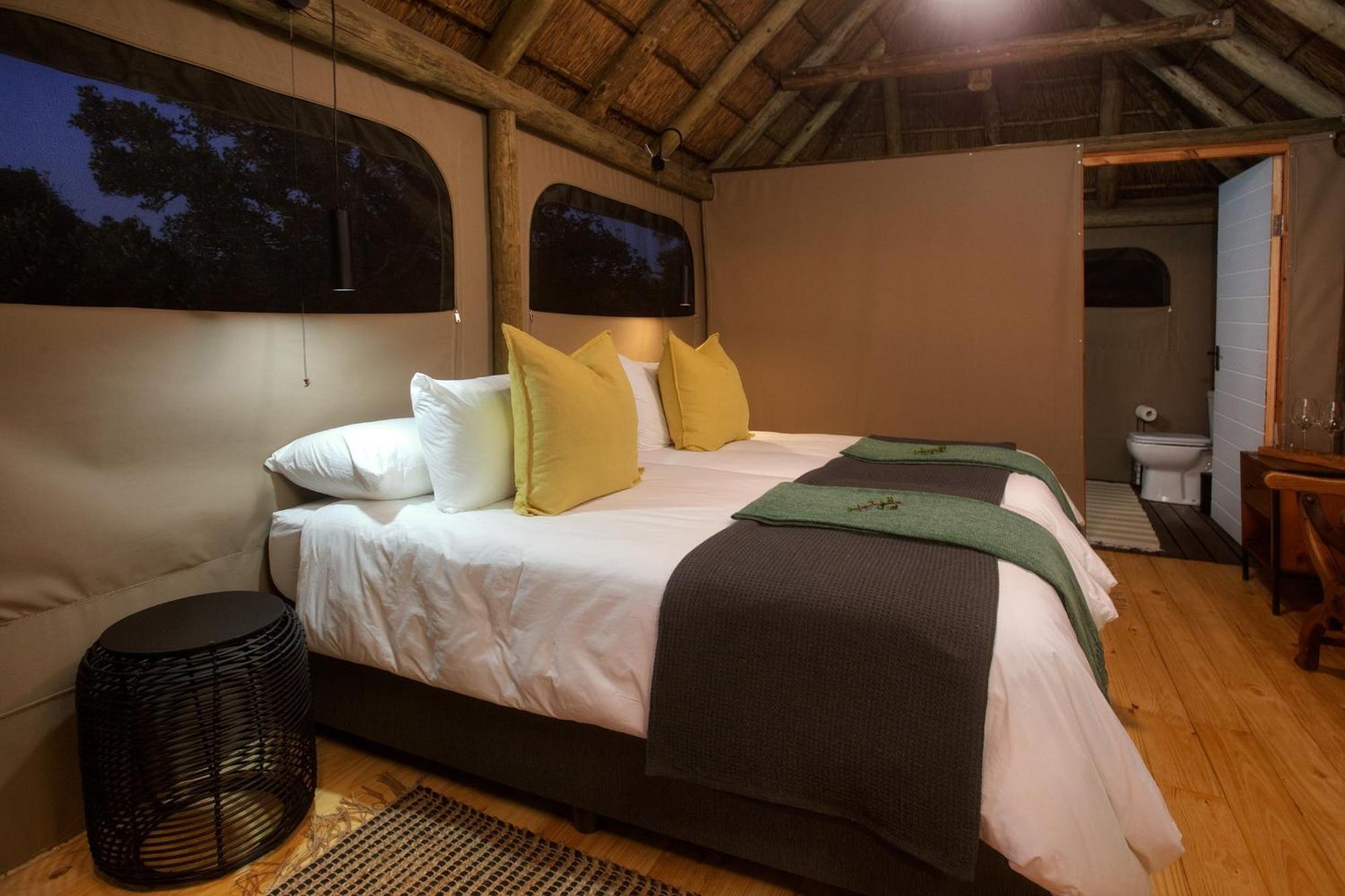 Addo Elephant Safari Lodge - Bellevue Forest Reserve Paterson Exterior foto