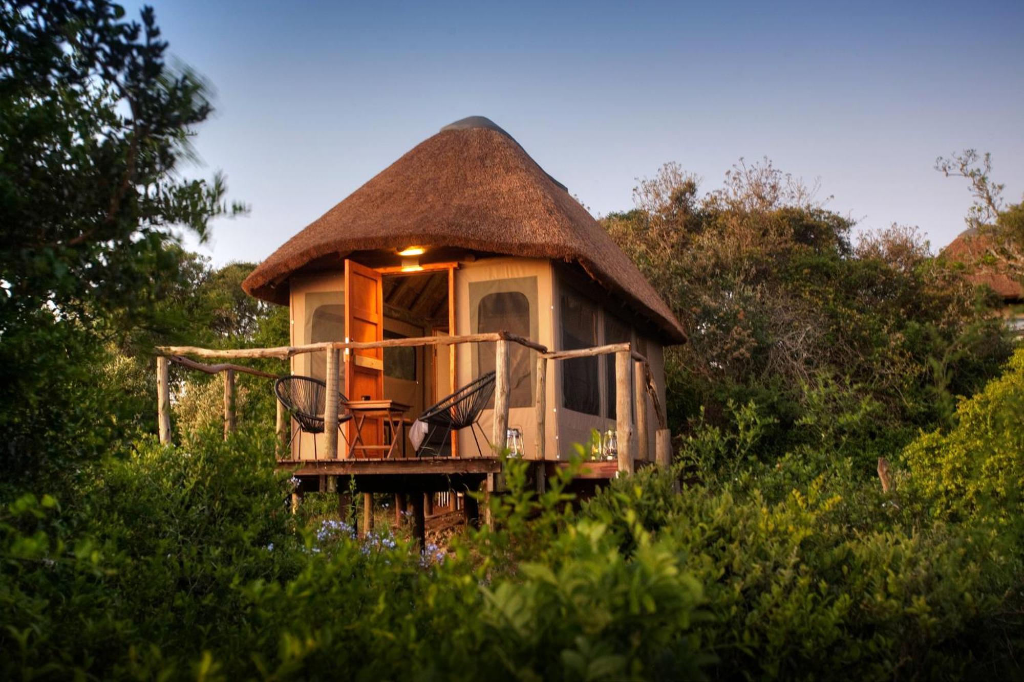 Addo Elephant Safari Lodge - Bellevue Forest Reserve Paterson Exterior foto