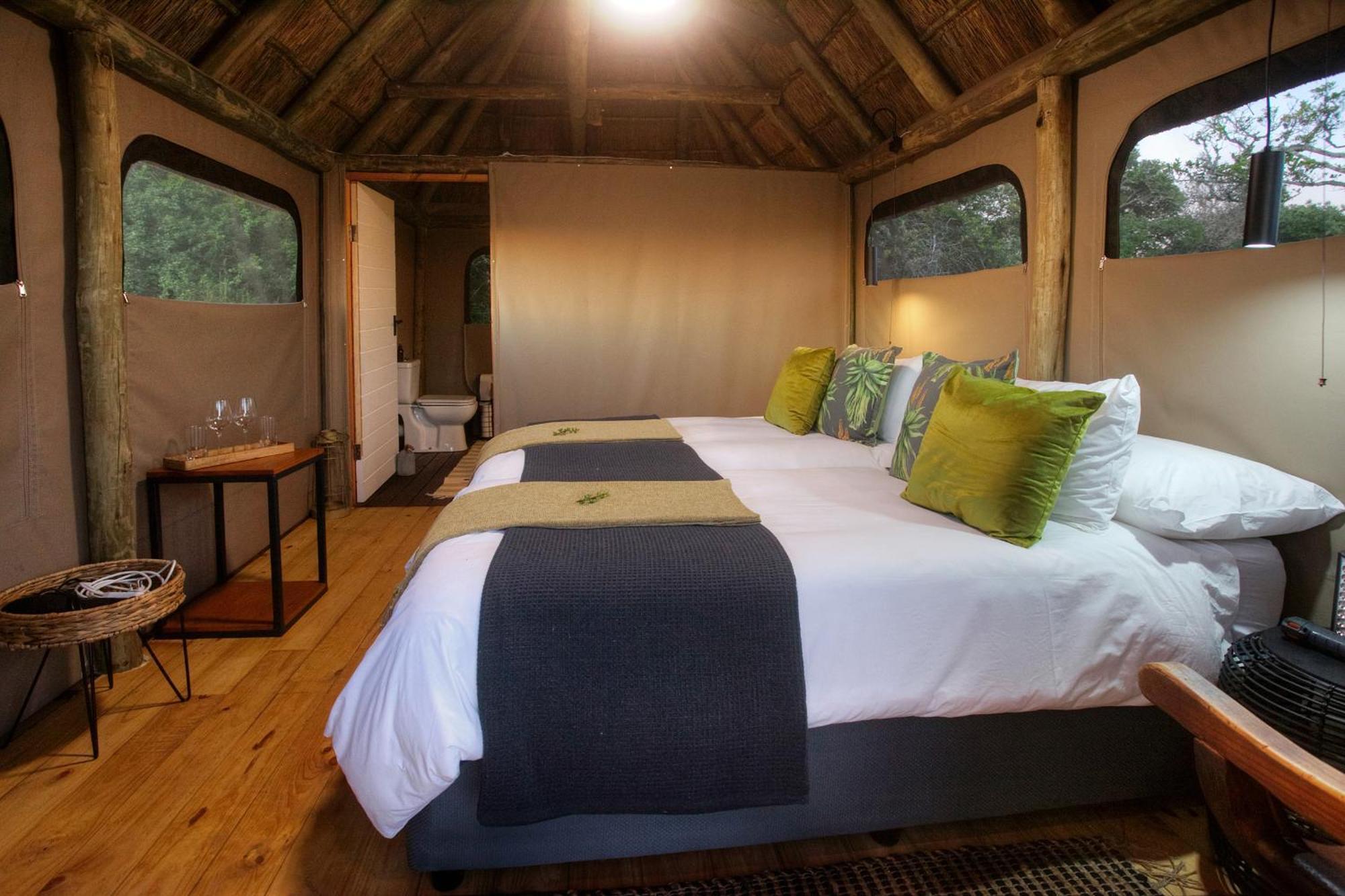 Addo Elephant Safari Lodge - Bellevue Forest Reserve Paterson Exterior foto