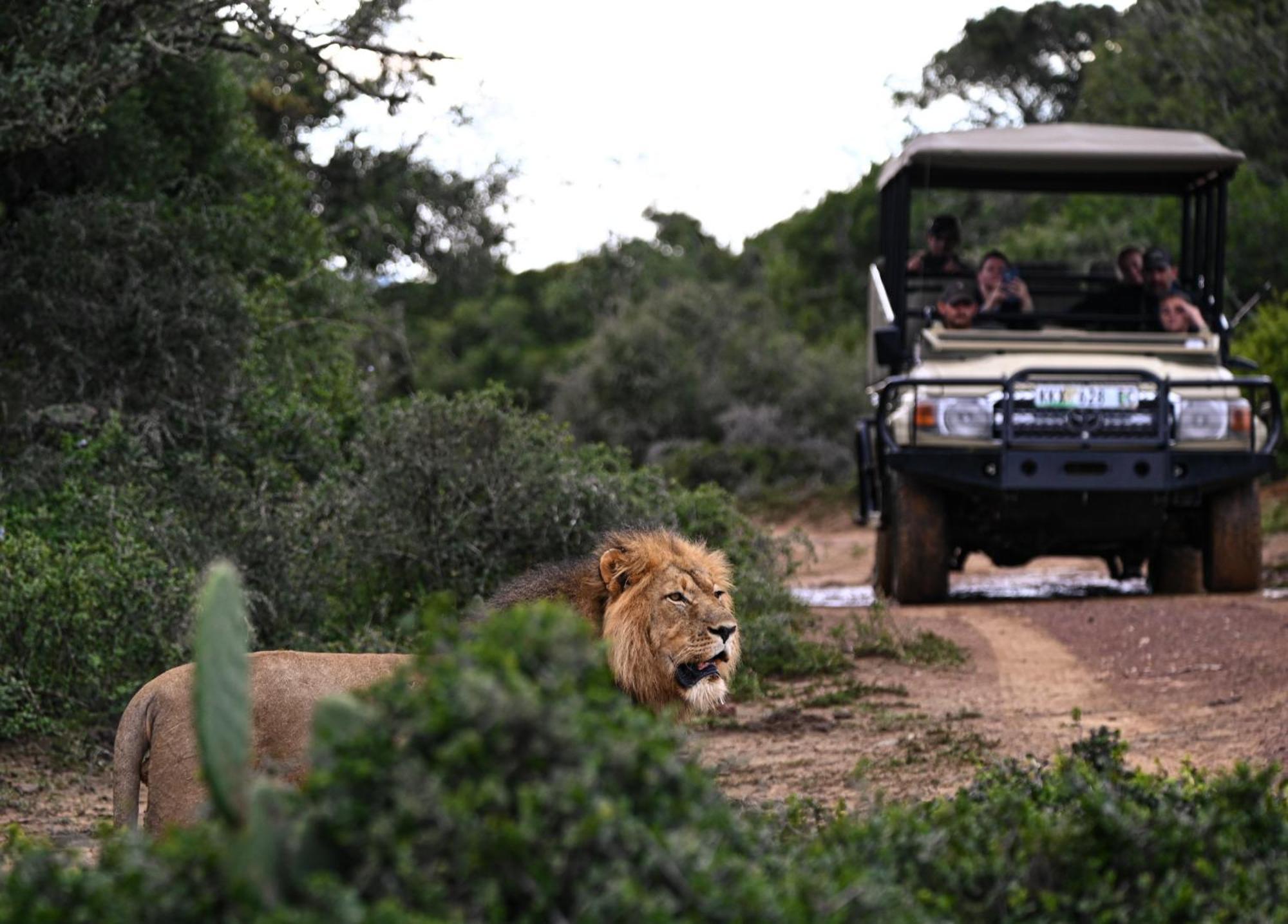 Addo Elephant Safari Lodge - Bellevue Forest Reserve Paterson Exterior foto