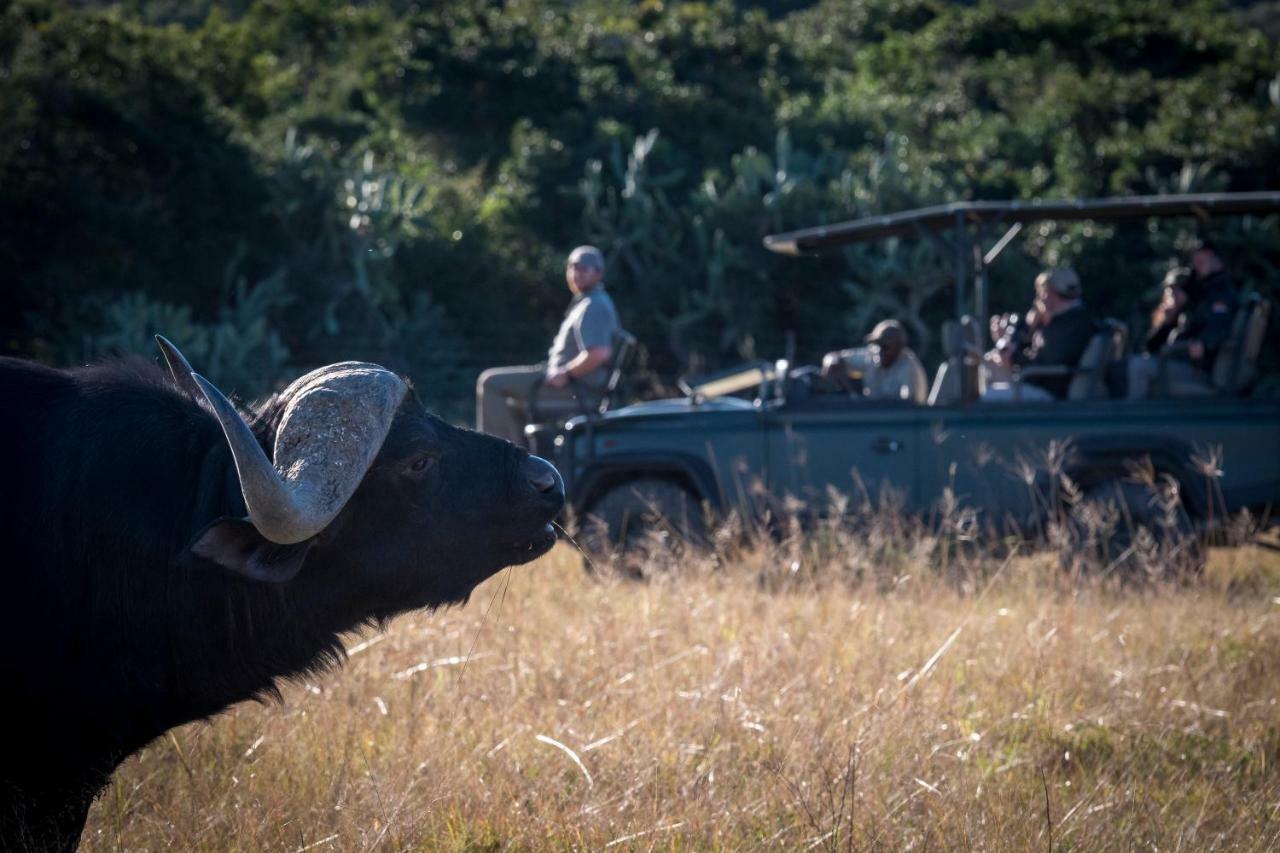 Addo Elephant Safari Lodge - Bellevue Forest Reserve Paterson Exterior foto