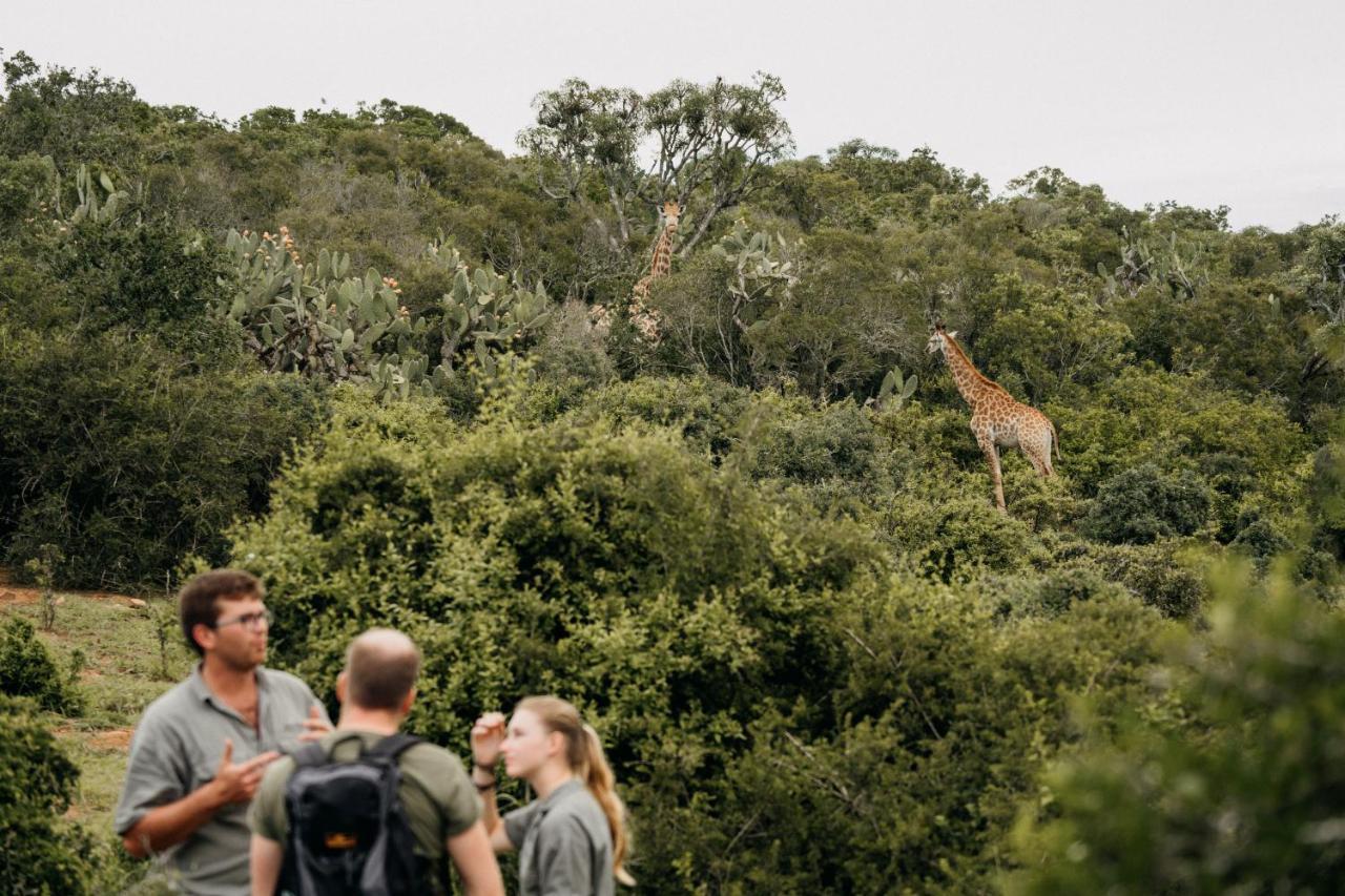 Addo Elephant Safari Lodge - Bellevue Forest Reserve Paterson Exterior foto